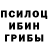 Псилоцибиновые грибы Cubensis Anny Bro
