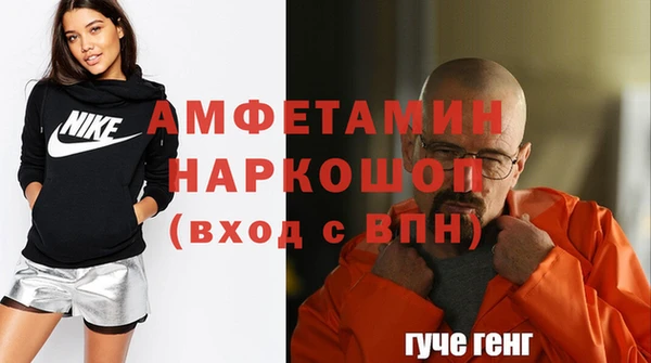индика Богородицк
