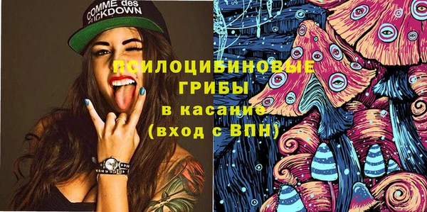 метадон Белокуриха