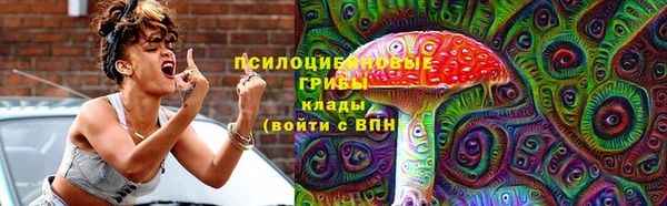 метадон Белокуриха